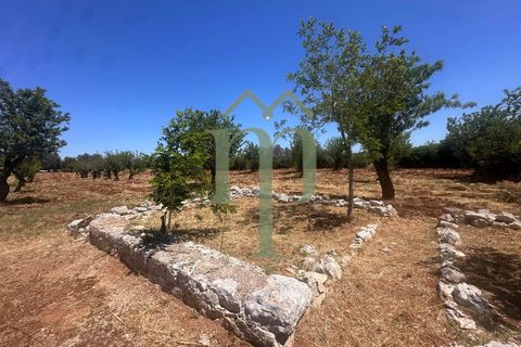 Ruinere i Carovigno, Brindisi, Carovigno - € 97.000 | Ref: Trullo Iovite - foto 19
